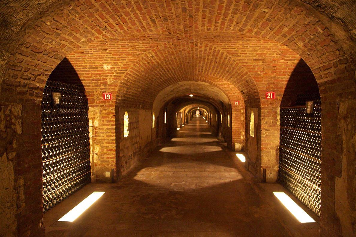 Caves de service pour champagne