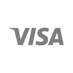 logo visa